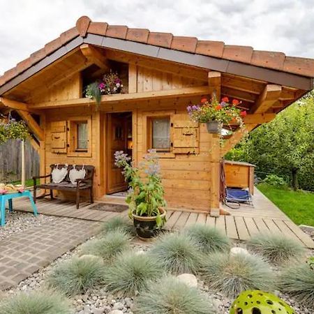 Le Chalet Des 3 Ours Neuvecelle Buitenkant foto